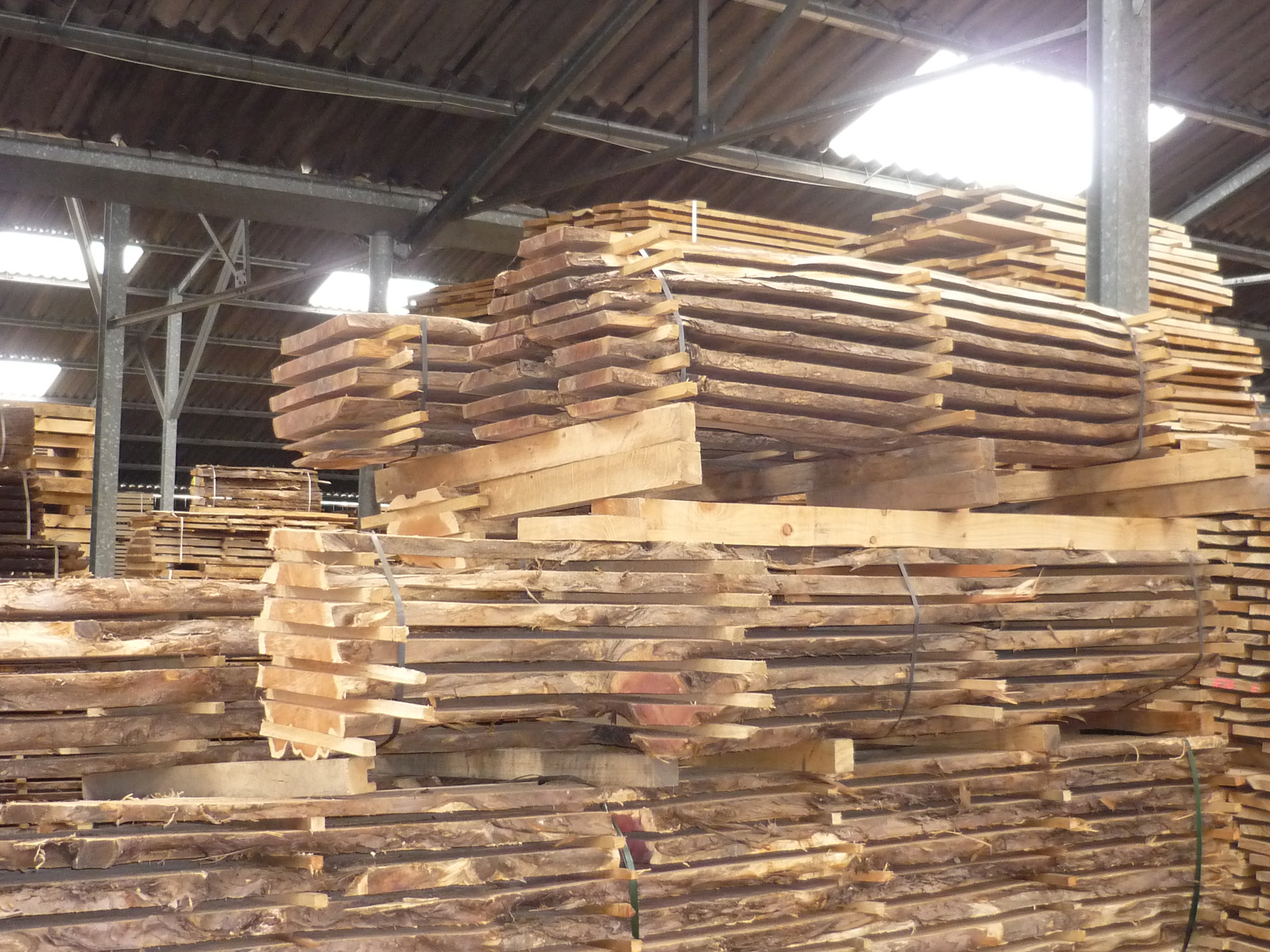 Eibenholz aus Schottland kaufen? Drenthe Fine Wood Holzlieferant